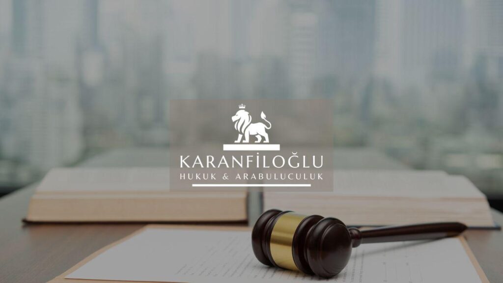 Understanding Criminal Law in Turkey